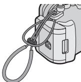 PANASONIC LUMIX DMW-MCTZ5PP - Cbemka CO BCnbIshKOJ - 4