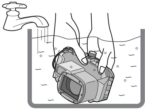 PANASONIC LUMIX DMW-MCTZ5PP - Приимechане - 1