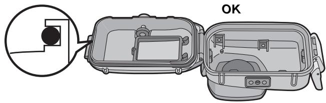 PANASONIC LUMIX DMW-MCTZ5PP - Inserire l'O-ring in maniera uniforme nell'apposto alloggiamo. - 1