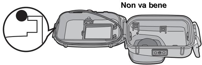 PANASONIC LUMIX DMW-MCTZ5PP - Inserire l'O-ring in maniera uniforme nell'apposto alloggiamo. - 2