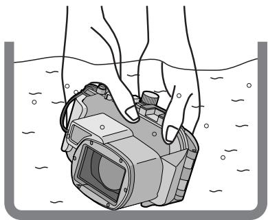 PANASONIC LUMIX DMW-MCTZ5PP - After setting the O-ring, check that no water leaks into the Case by submerging it in a water tank, bath tub etc. for more than about 3 minutes before attaching a digital camera. - 1
