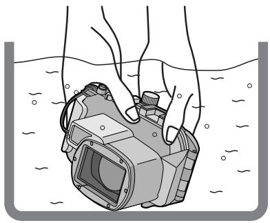 PANASONIC LUMIX DMW-MCTZ5PP - PpimeyaHnA - 1