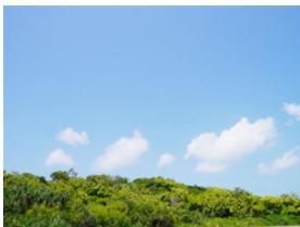 PANASONIC LUMIX DMC-CM1 - Paysage net - 1