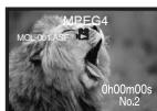 PANASONIC NV-GS120 - Agrandissement de la taille d'une image en mouvement - 2