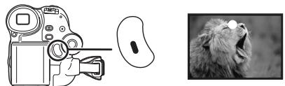 PANASONIC NV-GS17 - Opname op tape - 2