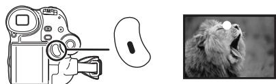 PANASONIC NV-GS17 - Registrazione su nastro - 2