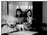 A. DUB