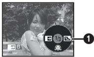 PANASONIC NV-GS17 - Ausblenden - 2