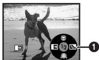 PANASONIC NV-GS180EK - Fade out - 2