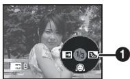 PANASONIC NV-GS21EK - Fade out - 2