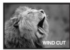 PANASONIC NV-GS22 - Windschutzfilter-Funktion - 2