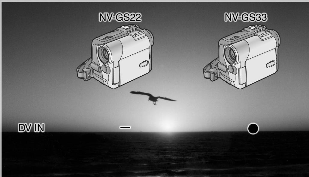 PANASONIC NV-GS22 - Model No. NV-GS22EG NV-GS33EG - 1