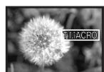 PANASONIC NV-GS22 - Drucken Sie die Taste [TELE MACRO] 5. - 2
