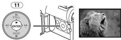 PANASONIC NV-GS22 - Wiedergabe eines Bandes - 4