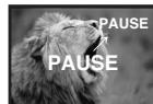 PANASONIC NV-GS22 - Enregistrement sur bande - 5