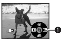 PANASONIC NV-GS230EF - Fade out - 2