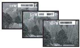 PANASONIC NV-GS230EF - Fonction zoom avant/arrière - 2