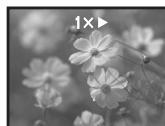PANASONIC NV-GS230EF - Zoeken met variabile snelheid - 1