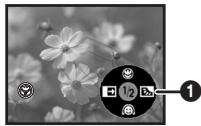 PANASONIC NV-GS230EF - De functie tele-macro - 2