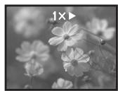 PANASONIC NV-GS230EK - Zoeken met variabele snelheid - 1