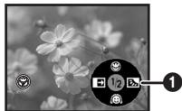 PANASONIC NV-GS230EK - De functie tele-macro - 2