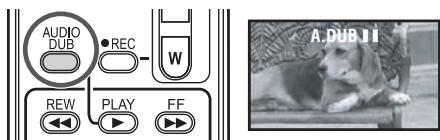 PANASONIC NV-GS280 - Audio dubbing - 3