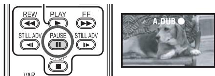 PANASONIC NV-GS280 - Audio dubbing - 4