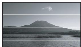 PANASONIC NV-GS320 - Fonction grille de référence - 1