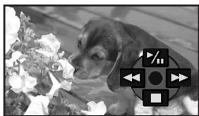 PANASONIC NV-GS320 - Lecture d'une bande - 2