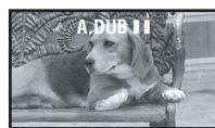 A.DUB 11