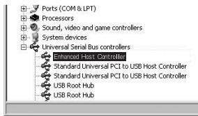 PANASONIC NV-GS320 - Confirmation avant la connexion (Pour Windows XP/2000) - 1