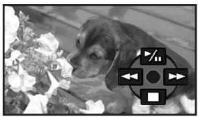 PANASONIC NV-GS80EG - Lecture image par image - 1