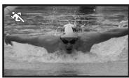 PANASONIC NV-GS80EG - Ripresa in varie situazioni (Modalità Scena) - 2