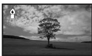 PANASONIC NV-GS80EG - Filmen in verschiedenen Situationen (Szenenmodus) - 4