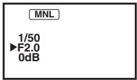 PANASONIC NV-GS80EG - Manuelle Einstellung von Verschlusszeit/Blendenöffnung - 7