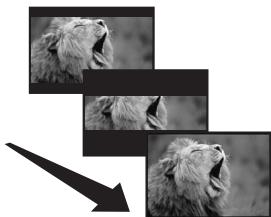 PANASONIC NV-GS80EK - Enregistrement d'une image fixe sur une bande (PhotoShot) - 2
