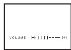 PANASONIC PV-GS33PP - Adjusting the Sound Volume - 2