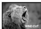 PANASONIC PV-GS33PP - Wind Noise Reduction Function - 2