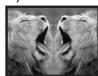 PANASONIC PV-GS33PP - Digital Effects 1 [EFFECT1] - 8