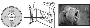 PANASONIC PV-GS33PP - Press the [▶] Button to start playback. - 1