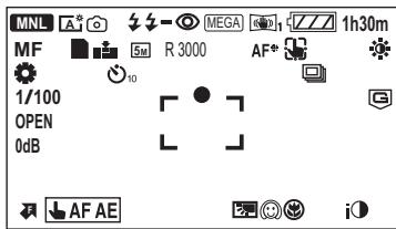 PANASONIC HDC-SD60 - Indicateurs d'enregistrement - 2