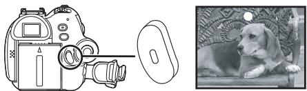 PANASONIC NVGS180EP - Recording on a tape - 2
