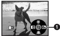 PANASONIC NVGS180EP - Zanikanie - 2