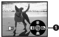 PANASONIC NVGS180EP - Fade out - 2