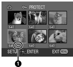 PANASONIC NVGS180EP - Protecting files on a card - 1