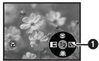 PANASONIC NVGS180EP - Tele-macro function - 2