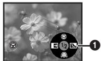PANASONIC NVGS180EP - Funkcja "Tele Makro" - 2