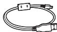 PANASONIC HX-A500E - Câble USB - 1