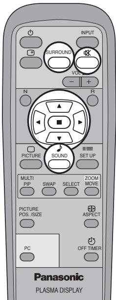 PANASONIC TH-42PHD7EK - Choisissez le paramètre à régler. - 2