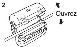 PANASONIC TH-42PHD7EK - Raccordement aux bornes d'entrée d'ordinateur (PC) - 2